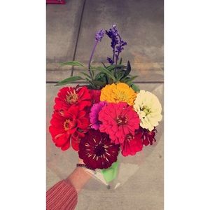 Meet your Posher, Monica